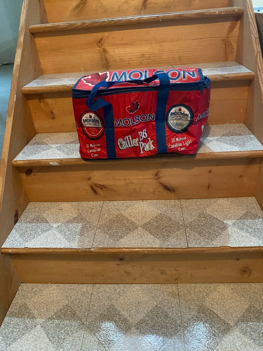 Red Insulated Cooler Tote - Portable Beverage Carrier
